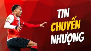 “Sao Feyenoord của Timber song sinh lọt tầm ngắm Arsenal khi chỉ còn vài tháng ký mới”