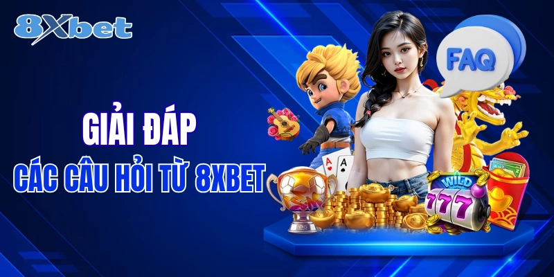 câu hỏi 8xbet
