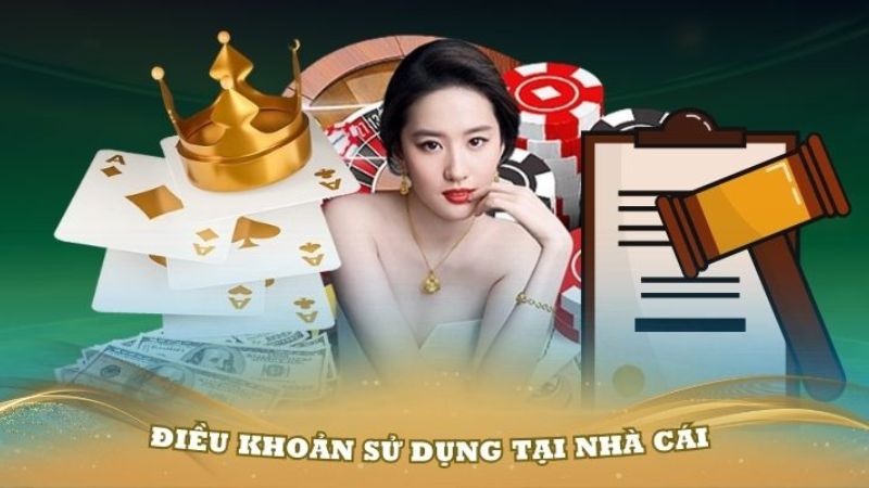 điều khoản sử dụng kèo nhà cái sale