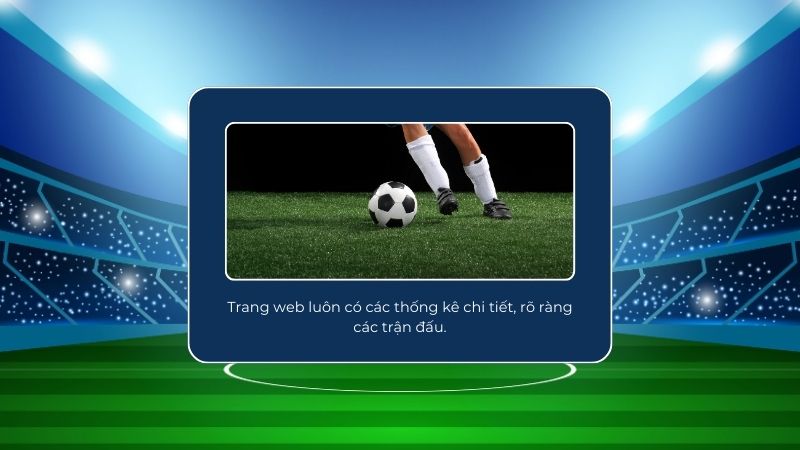 Trang web luôn có các thống kê chi tiết, rõ ràng