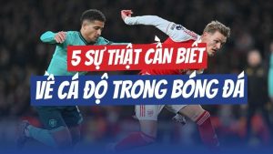 Cá độ trong bóng đá: 5 Sự thật bạn cần biết trước khi tham gia