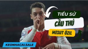mesut ozil