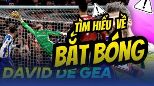 tìm hiểu về bắt bóng