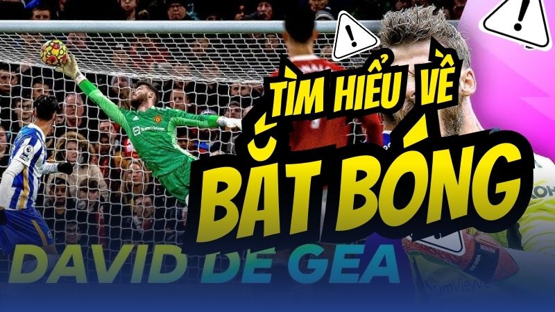 tìm hiểu về bắt bóng